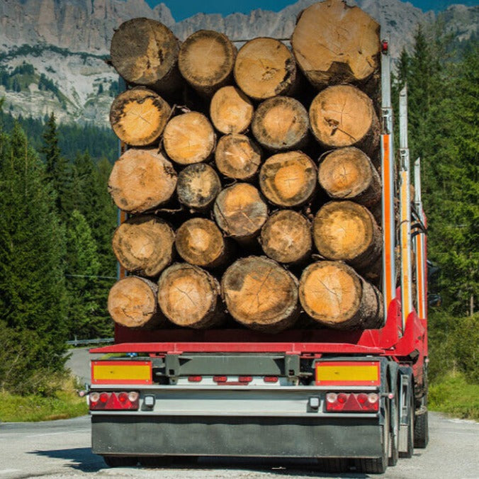 Tandem Load of Logs